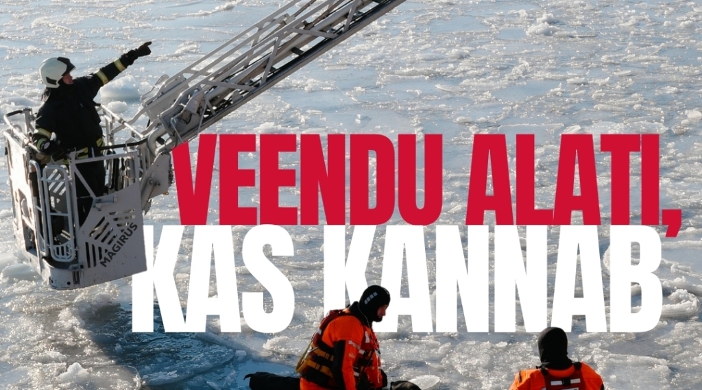Veendu alati, kas kannab